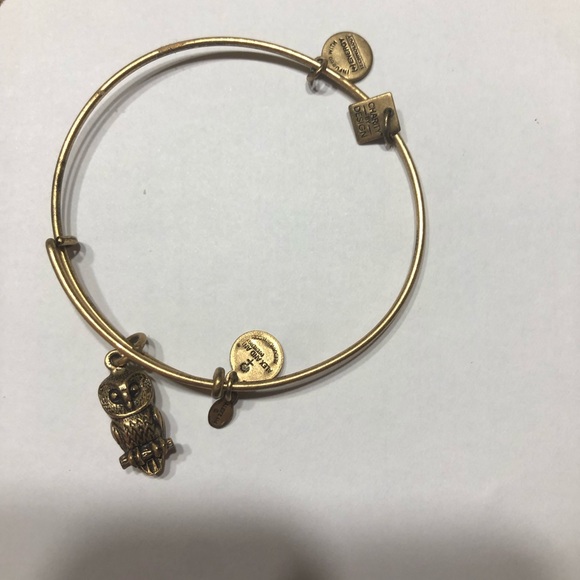 Alex and ani owl bracelet - Picture 1 of 1